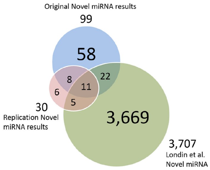 推定的新型miRNA，复制数据miRNA和Londin <Em>等。</ Em> miRNA。