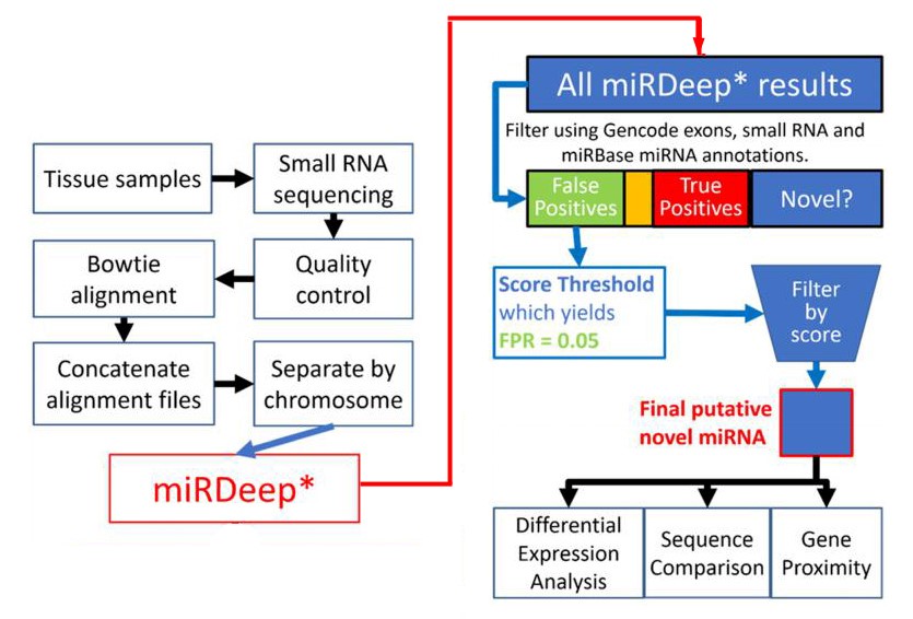 流程图描绘了小型miRNA发现管道。