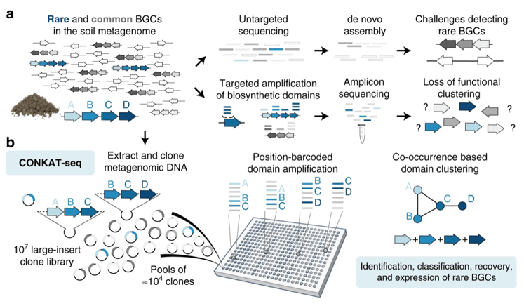 CONKAT-seq能够在复杂的宏基因组中探索罕见的生物合成基因簇。