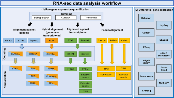 RNA-SEQ用于差异基因表达分析：引言，协议和生物信息学
